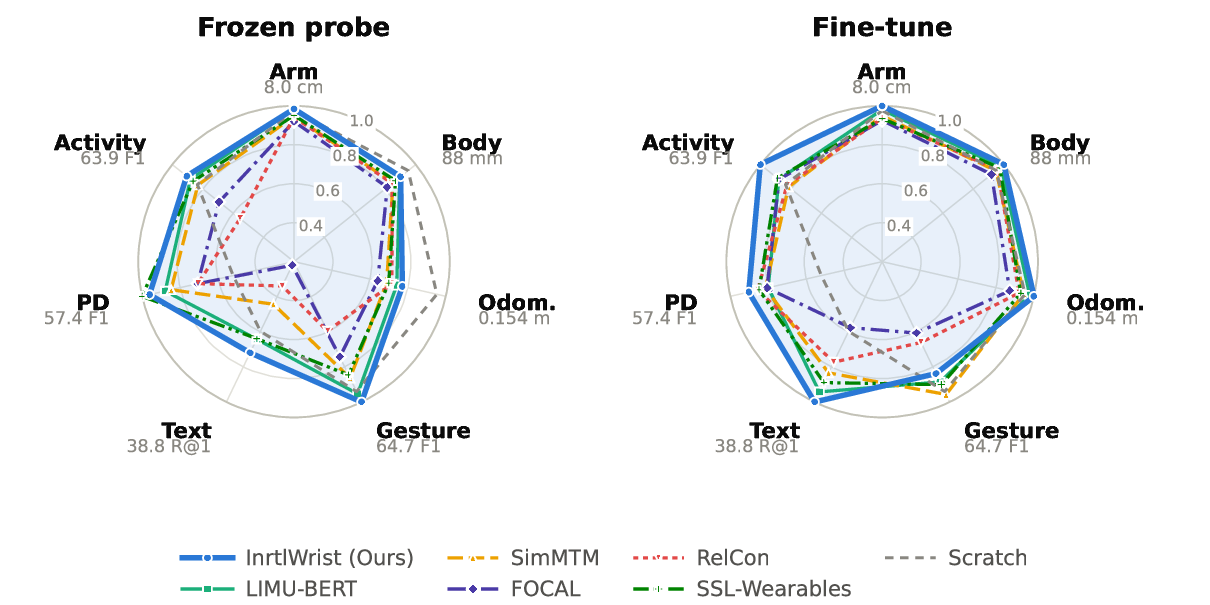 Two radar charts, frozen probe and fine-tune, over seven task axes (arm, body, odometry, gesture, text, Parkinson's disease, activity). InrtlWrist traces the largest polygon in both; training from scratch is drawn dashed.