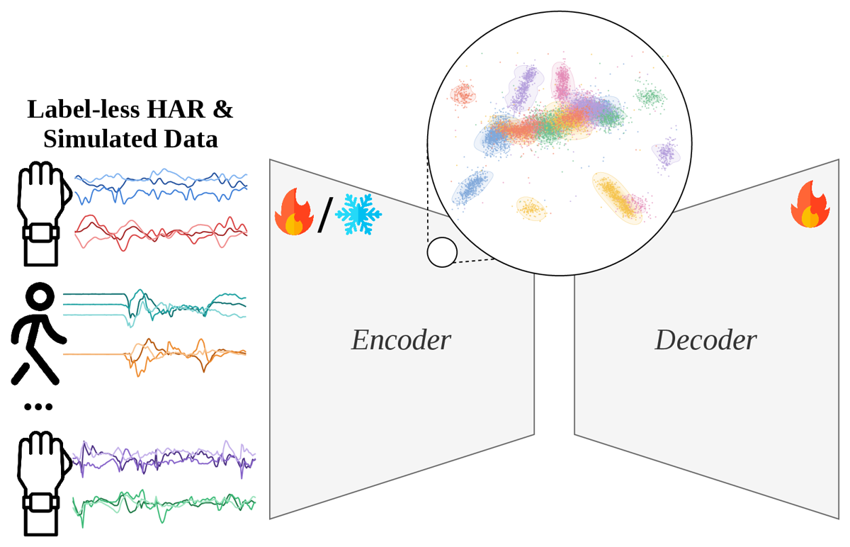 Label-less wrist and simulated signals entering an encoder–decoder; the encoder is probed frozen or fine-tuned.
